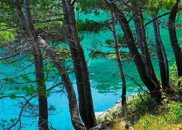 Krtica 2 Vrbnik